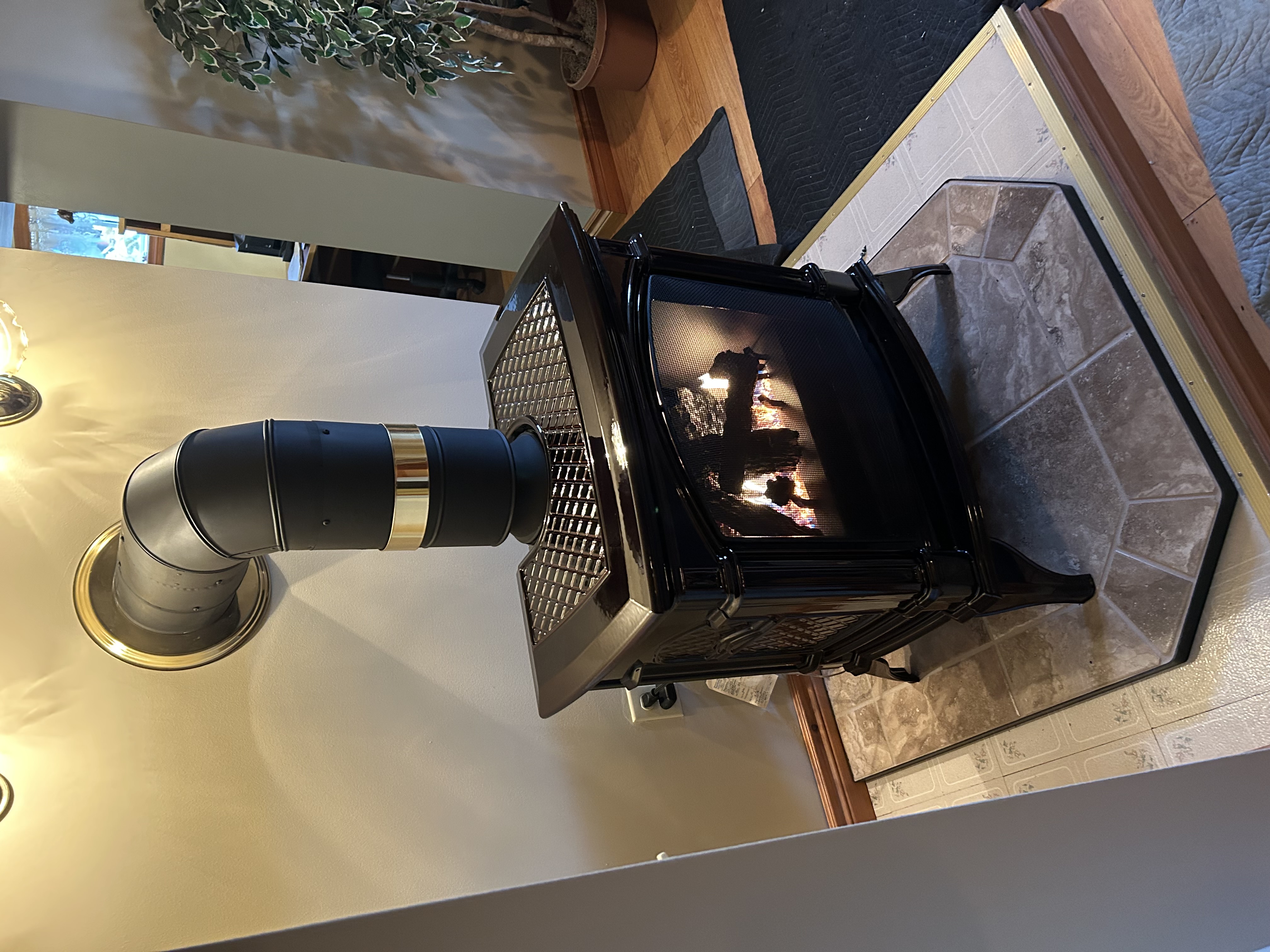 Professional Service